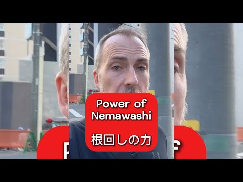 The Power of Nemawashi | Japanese Leadership and Consensus Building