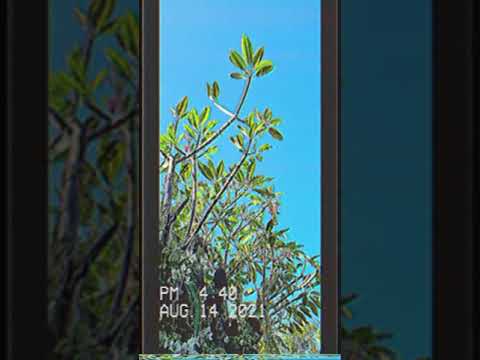 Jangan lupa tonton full versionnya ya😊