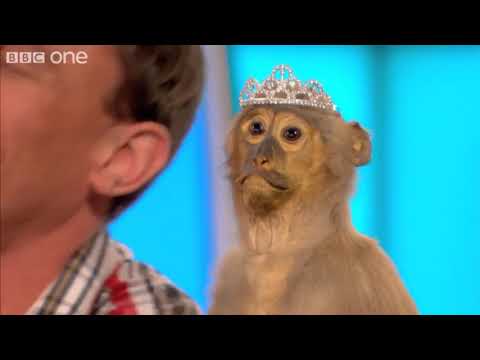 Lee Mack on BBC's "Would I Lie To You"