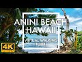 [4K] Anini Beach, Kauai Hawaii | Virtual Walking Tour | Relaxing Travel Simulator