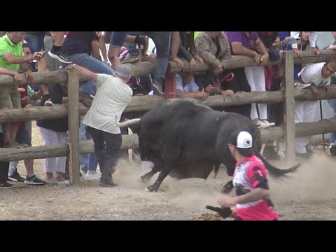 El Toro de la Vega 2022 Tordesillas