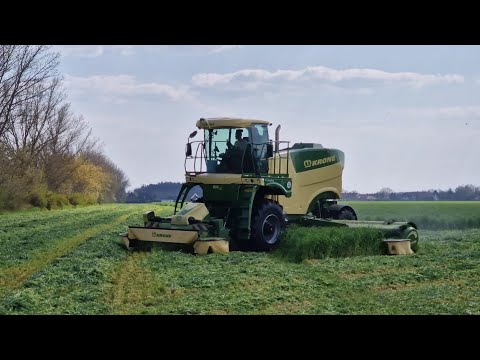 KRONE BIG M 450 am Grünrroggen mähen / SOUND / 4K