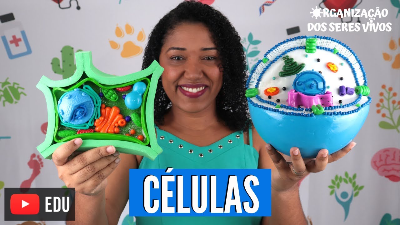 Aula Células: Tipos, características e microscópios Ep.3