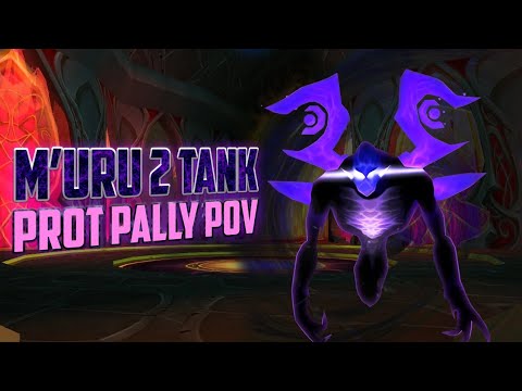 M'uru 2 Tank Prot Paladin POV First Kill - TBC Classic