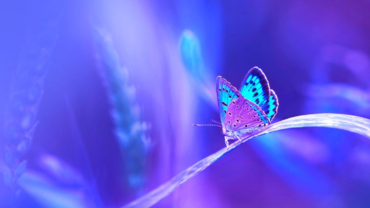 THE BEST Study Music ♫ Calming Relaxing Music | Boost Focus, Enhance Learning and Concentration