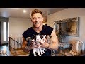 STEALING FRENCH BULLDOGS!?