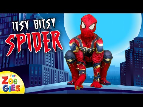 The Zoogies - Itsy Bitsy Spider | Spiderman Version