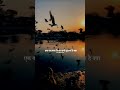 Sab Yaad Rehta Hai ️‍ Rayofhopeshyari Sadshayari Ytshorts Viral Trueline Explore Status