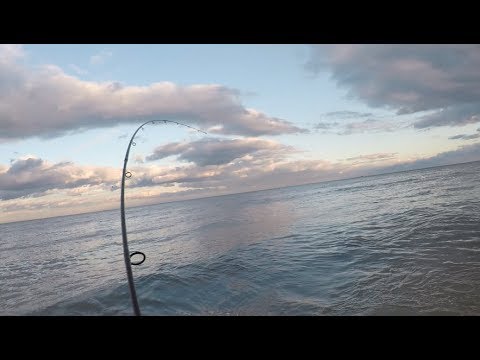 Jersey Surf Stripers Fall 2018