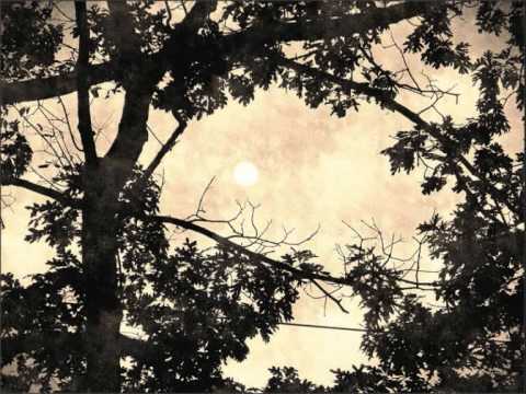 Adriano Correia de Oliveira - "O Sol p'rguntou à Lua" do disco "Cantaremos" (LP 1970)