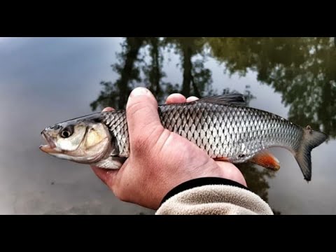 RIBOLOV PO VJETRU KLIJEN NA GLISTU