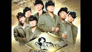 Alacranes Musical   500 Balazos