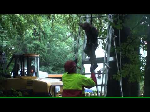 Bauernmarkt auf Haus Düsse 2011