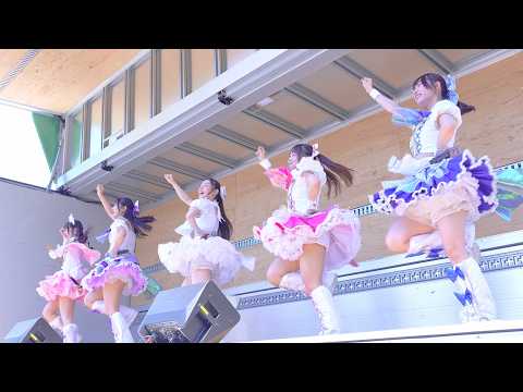 動画のタイトルなど