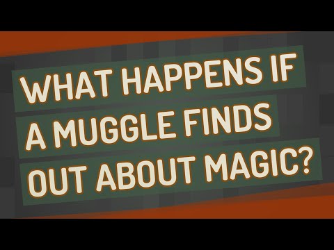 What happens if a Muggle finds out about magic?