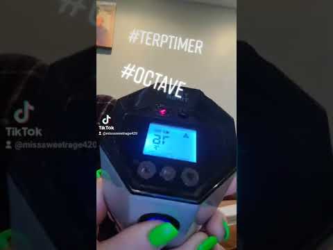 terp timer #octave