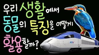 우리 생활에서 동물의 특징을 어떻게 활용할까요? [초등 과학 3학년 2학기 2단원 9차시 ]