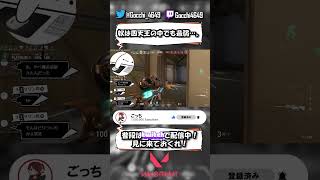 【VALORANT】ふぇぇ、、四天王方式で戦ってくれる時のオペレーターが楽し過ぎるよぅ、、【#Shorts】
