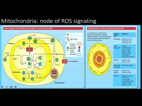 Reactive oxygen species (ros): signaling and oxidative stress