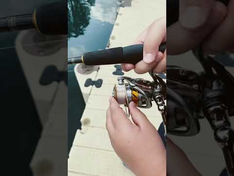 How to cast a fishing rod (ft. DEMARCOTHEGAMER)