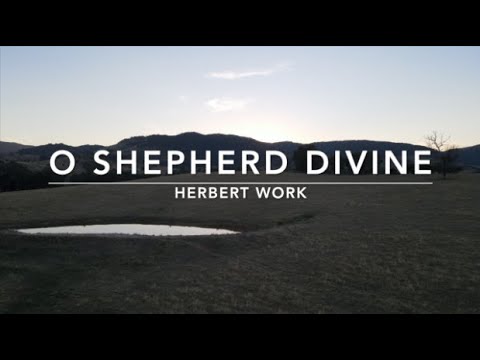 O Shepherd Divine | Songs and Everlasting Joy