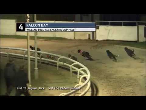 WILLIAM HILL ALL ENGLAND CUP - HEAT 1 - T4 FALCON BAY