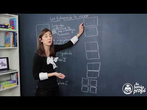 Les 8 étapes de la méiose - Le schéma