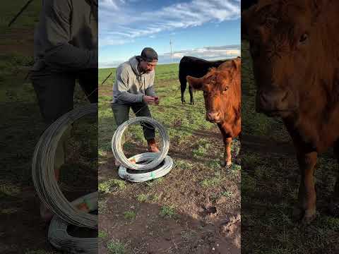 🧵 Cuánto dura realmente un alambre en el campo?