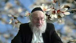 ענייני ט"ו בשבט בהלכה