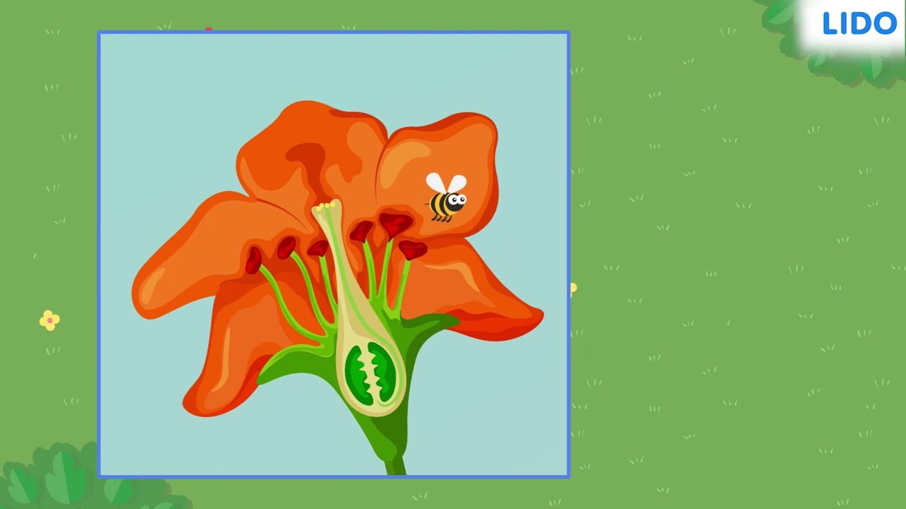 Flower- Pollination and Fertilization | Pollination and Fertilization | Class 9 Science ICSE
