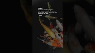 Download lagu Aku #shorts #snack #tiktok #viral #fyp #quotes #status#aku mp3