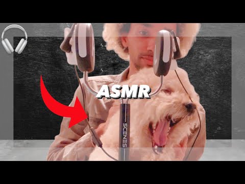 Dog Massage ASMR: Watch Him Get Completely Spoiled 🐶