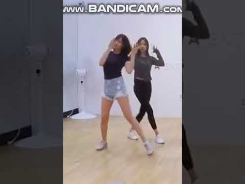 APINK FIVE DANCE PRACTICE HAYOUNG FOCUS ( RE-UPLOAD)