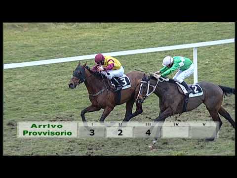 2020-01-30 Corsa 6 Metri 1200 Premio sostegno