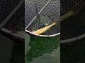 Video Thumbnail for Walleye Fishing #shorts #fishing