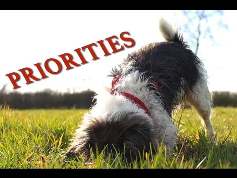 Priorities - Short Film
