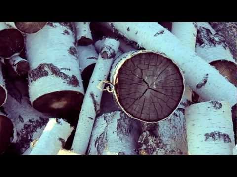 Aromashevo inside (sound  DVA - jucha )