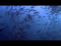 Oceanlab - Satellite (Chillout Mix) 