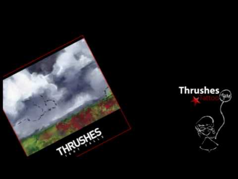 Thrushes - Tattoo