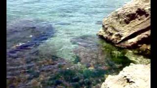 preview picture of video 'Le ginestre (aurisina - trieste) Stabilimento balnere sulla costiera triestina'
