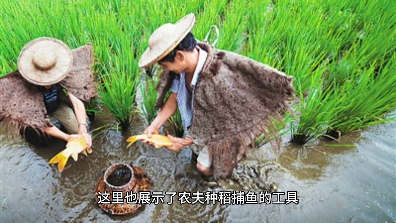 马来西亚吉打象屿山