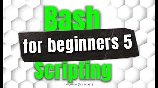 How To View Files And Contents In Bash.  Bash for Beginners 5