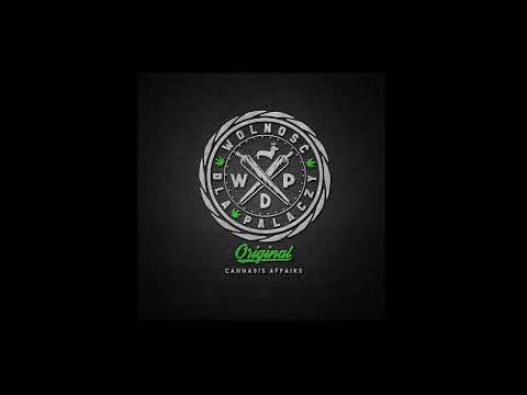 GIZMO WDP - STOŻKOGŁOWI TROGLODYCI