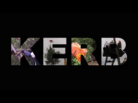 Schwanheimer Kerb 2020