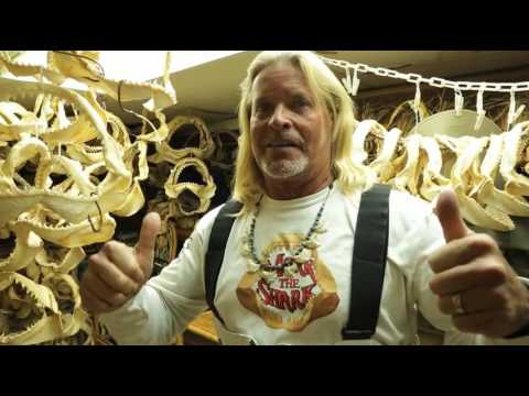 66 Minutes: Mark The Shark Visio #2