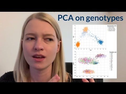 Genes and geography -- a bioinformatics project