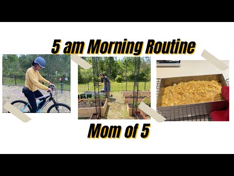 5am Morning Routine Christian Homeschool Mom of 5