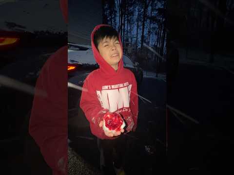 Snowball Fight!!! (gone wrong)