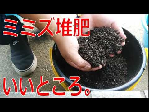 堆肥用の肥料ミミズはどこで見つけられますか?これらは、野生下で最も可能性の高い 6 つの隠れ場所です。  庭園