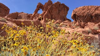 preview picture of video 'Valley of Fire State Park, Nevada'